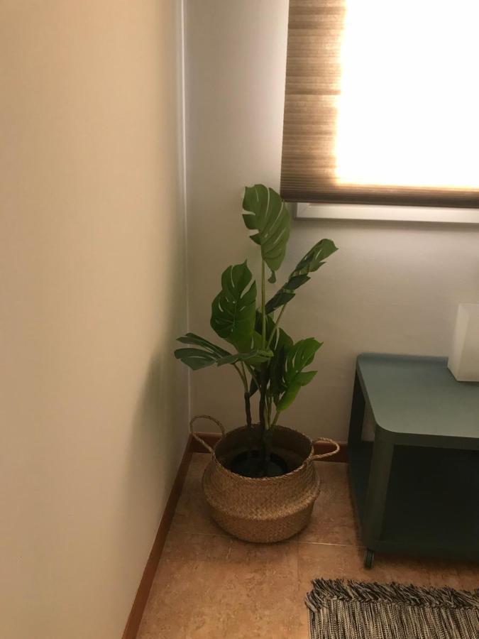 Apartamento Recien Reformado Con Vistas Al Rio Balaguer Buitenkant foto